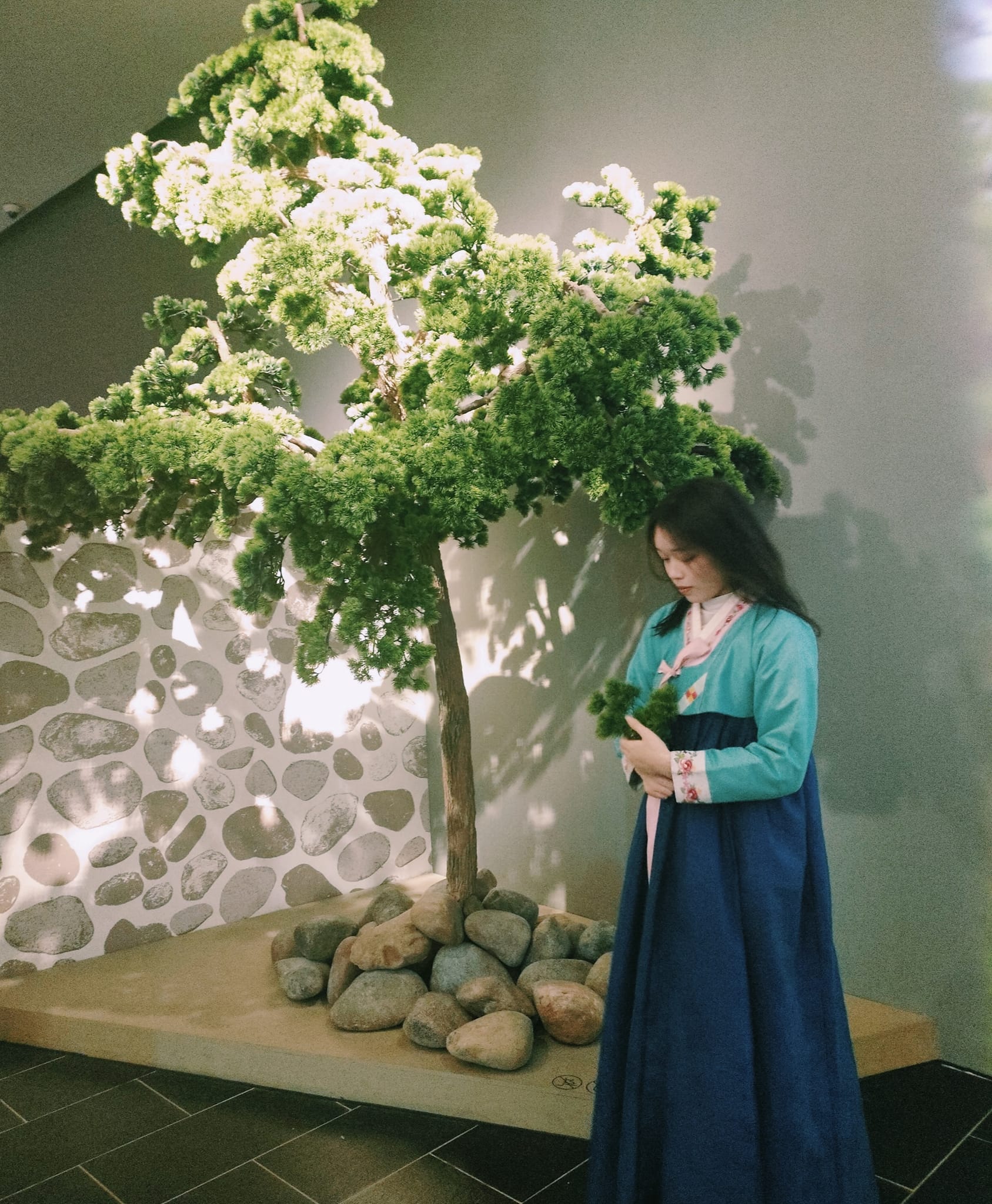 Thu Hằng