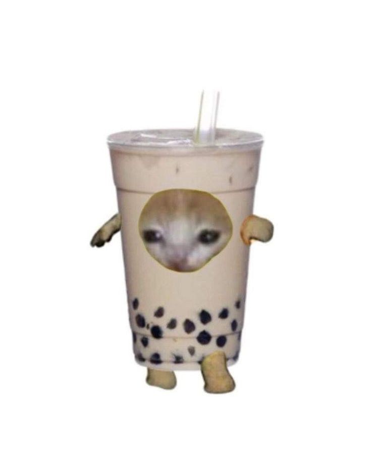 Trần Lê Trúc Quyên