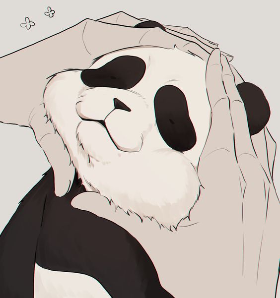 Mòe panda