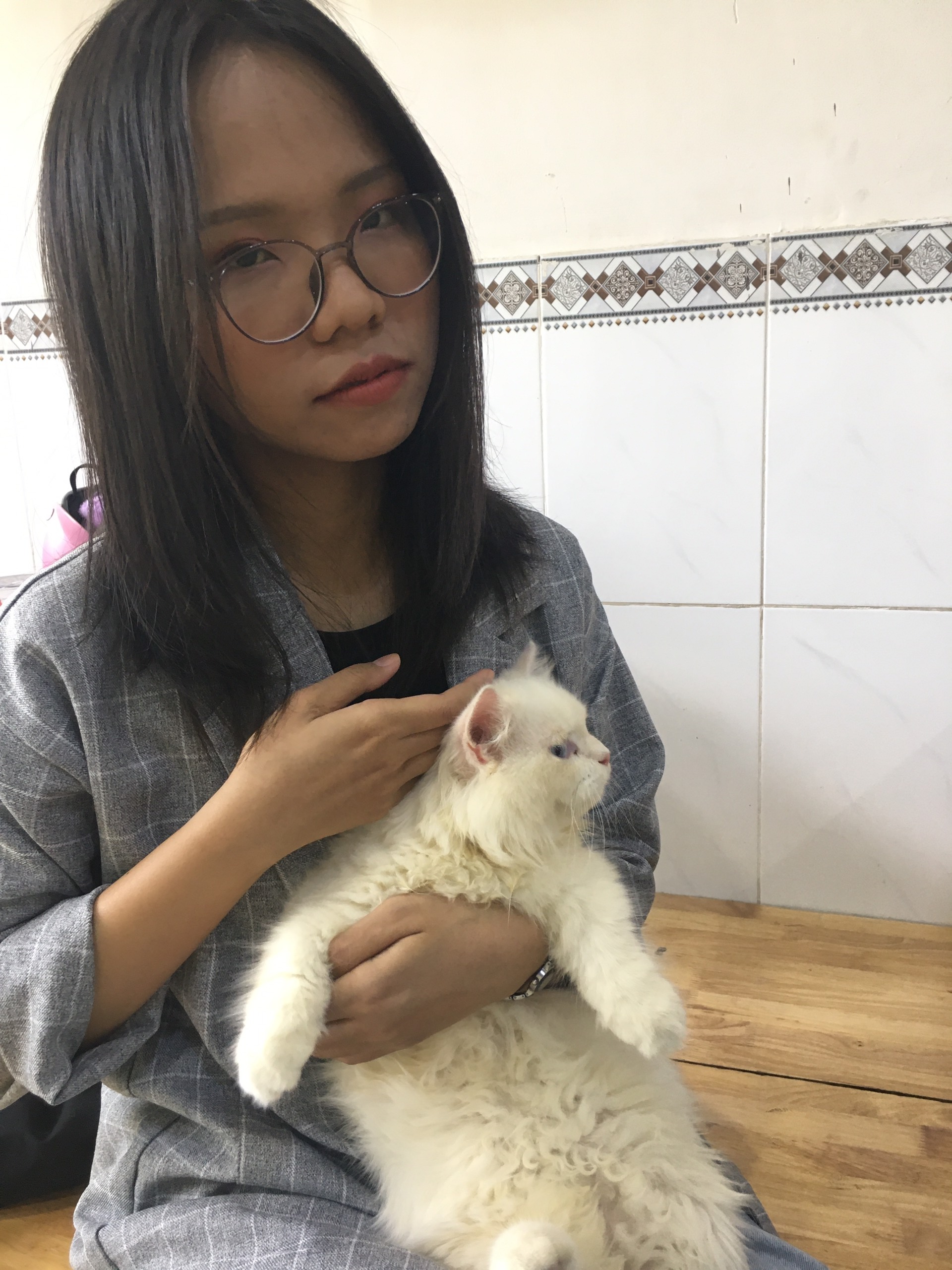 Cháo Thỏ Đây