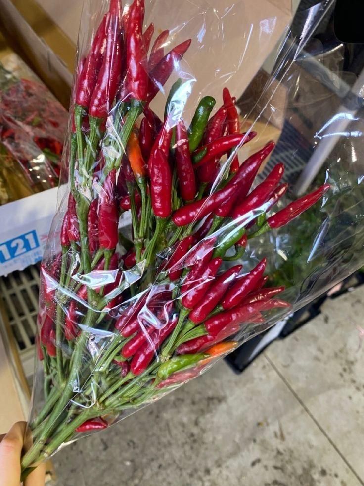 Ớt tập viếtt