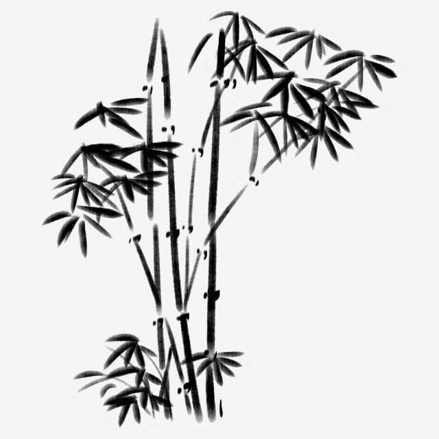 Bamboo Lee