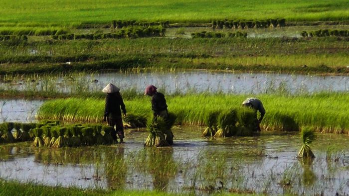 Giếng xưa (Phần 1)