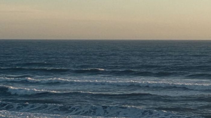 Sóng trong bão Sóng trong bão