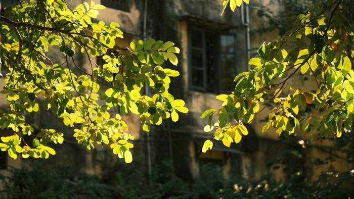 Chúng Ta Đã Đi Qua Mùa Hạ Năm Ấy (Phần 1)